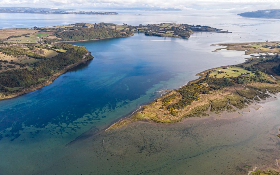 Ministerio del Medio Ambiente declara tres humedales costeros de Chiloé como nuevos Santuarios de la Naturaleza