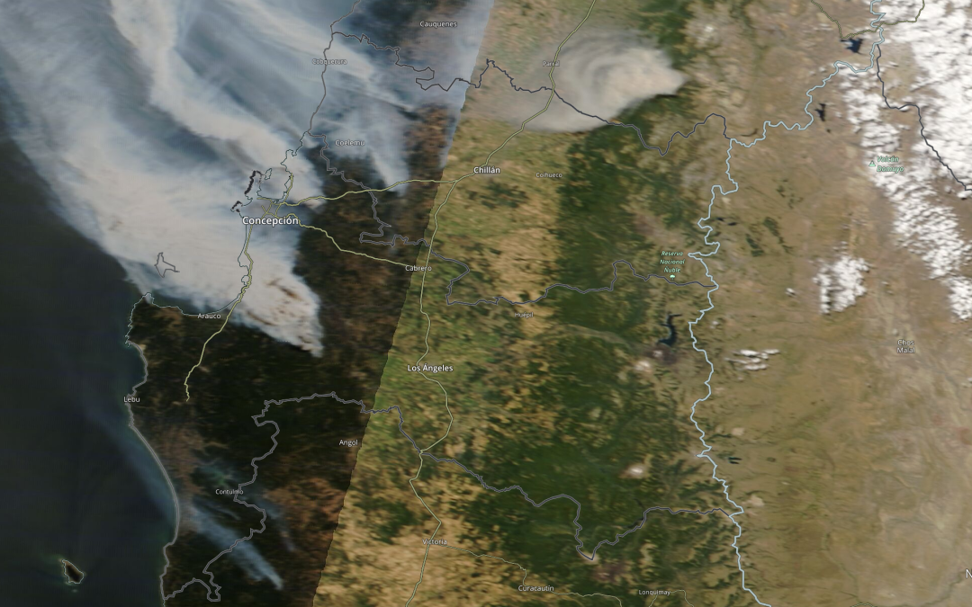 94% cree que los incendios forestales son provocados y 63% opina que detrás de estos hay grupos terroristas