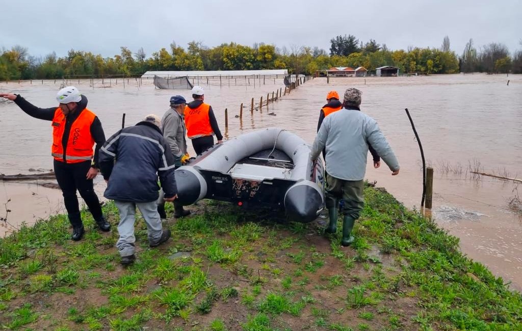 Sistema Frontal: Declaran emergencia agrícola en  O’Higgins, Maule, Ñuble y Biobío