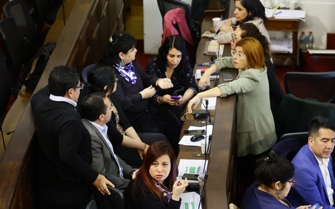 Refrendado: Fuerzas Armadas y de Orden y Seguridad Pública tendrán capítulos propios en propuesta constitucional