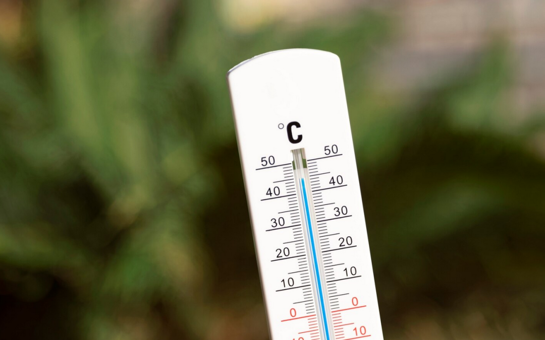 Estudio UC revela que más de 580 muertes en un solo mes son atribuibles a olas de calor