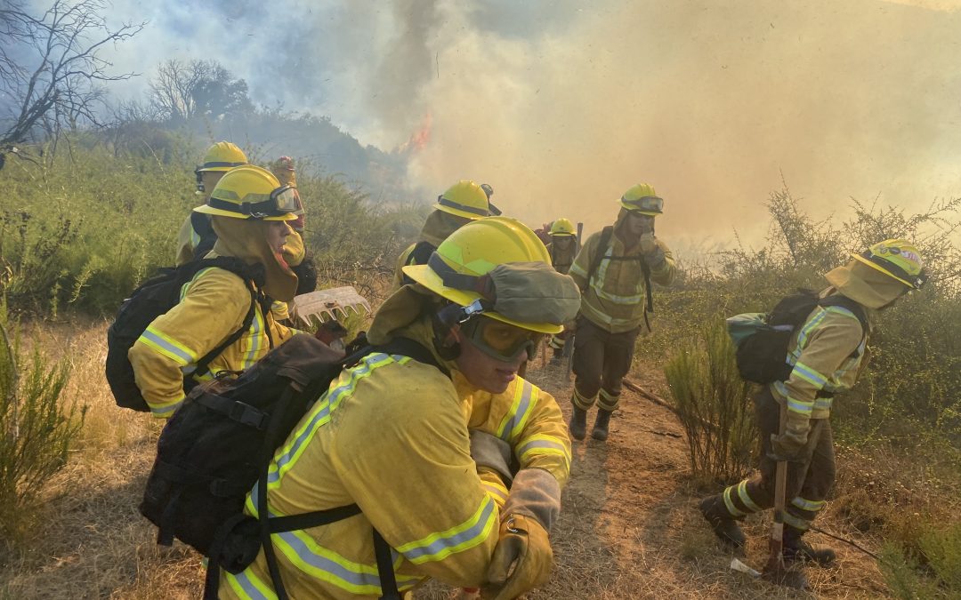 SML: 112 fallecidos por incendios en la región de Valparaíso