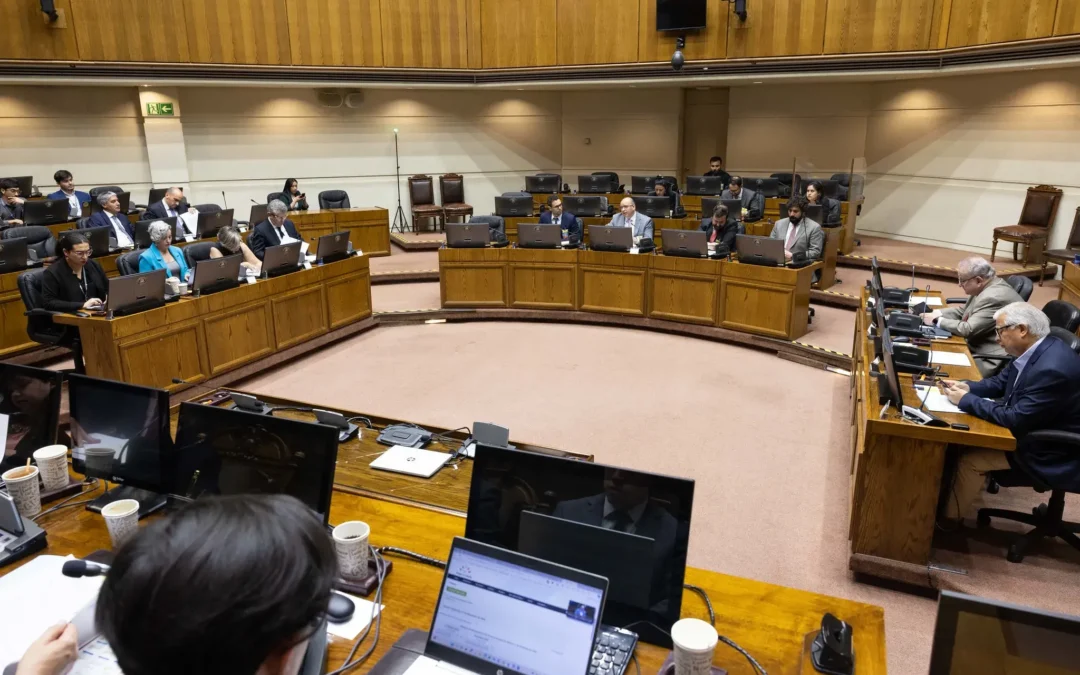 Ley Antiterrorista: Comisión Mixta inicia su trabajo y adopta primeras definiciones