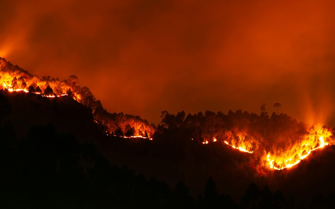 Recomendaciones sobre qué hacer y cómo prevenir los incendios forestales