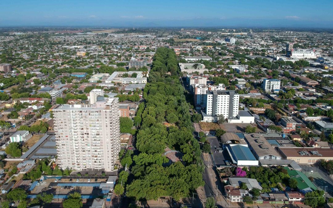 Alertan sobre aumento de alergias en Talca y propone acciones concretas
